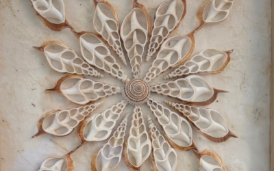 Where Shells Become Stories — And How They Inspire Our Craft at Intra-State Terrazzo & Concrete